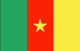 Cameroun Flag