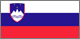 Slovenie Flag